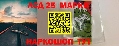 Альфа ПВП Краснознаменск