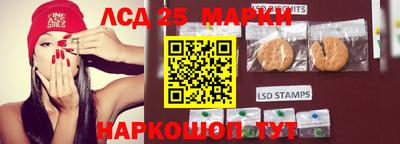 Альфа ПВП Краснознаменск