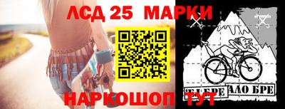 Альфа ПВП Краснознаменск