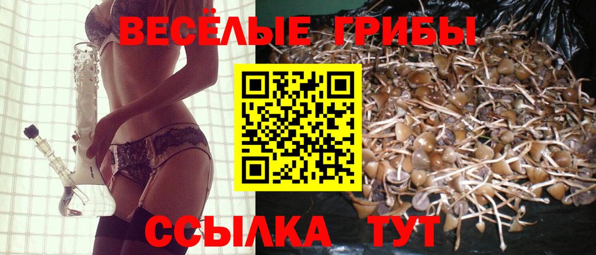 Псилоцибиновые грибы GOLDEN TEACHER  Вход с VPN  что такое   Тула 